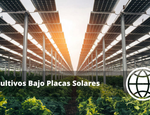 Cultivos Bajo Placas Solares