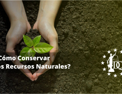 ¿Cómo Conservar los Recursos Naturales?