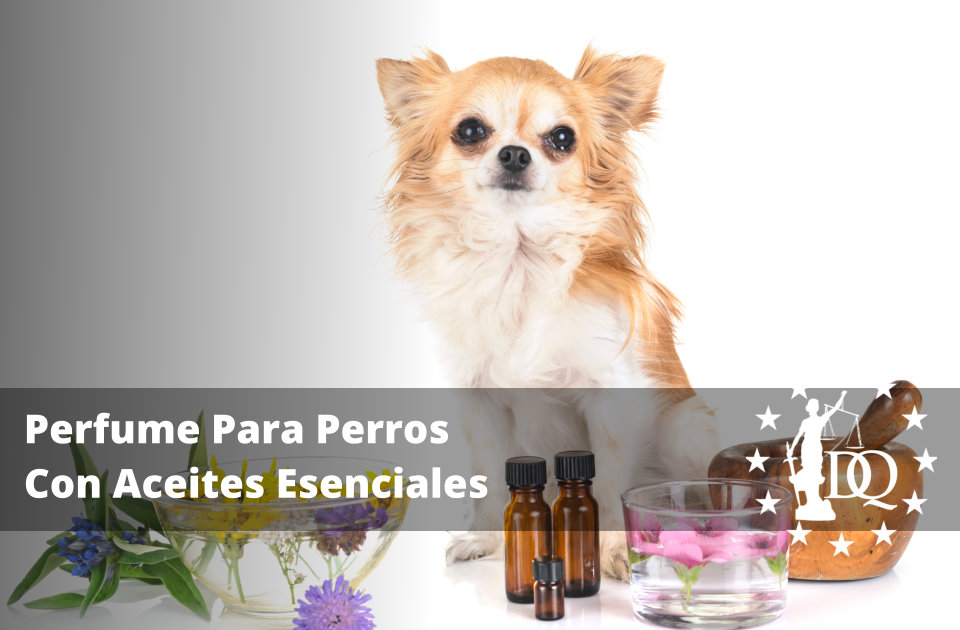 Perfume Para Perros Con Aceites Esenciales
