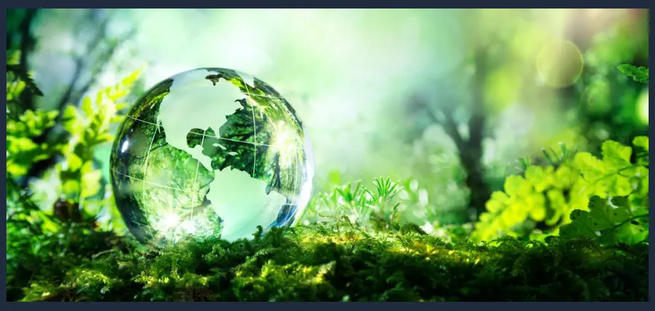 Sostenibilidad Ambiental - Sostenibilidad Medioambiental
