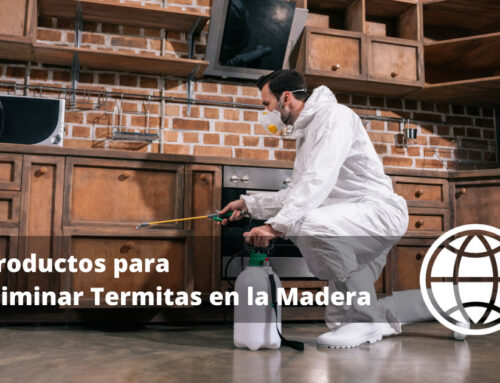 Productos para Eliminar Termitas en la Madera