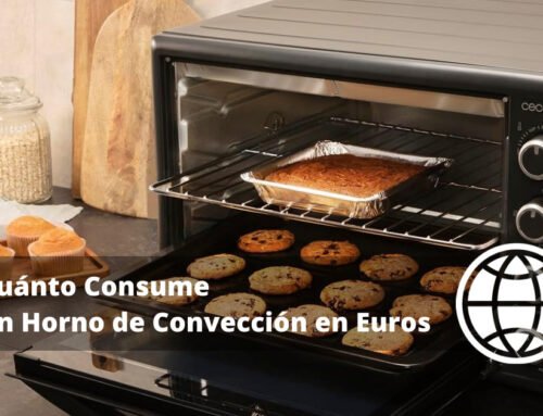 Cuánto Consume un Horno de Convección en Euros