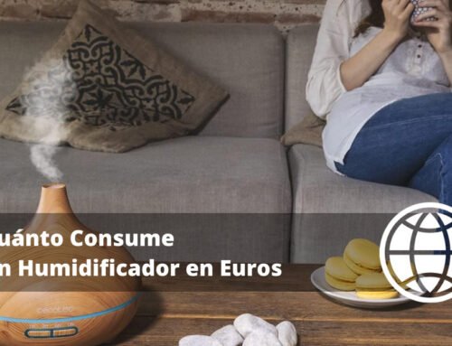 Cuánto Consume un Humidificador en Euros